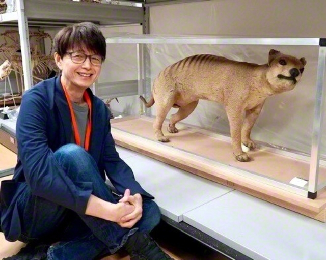 川端さんがフクロオオカミの剝製と