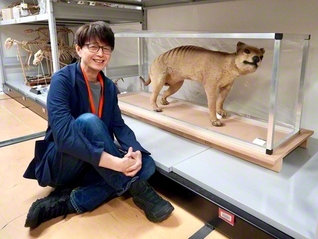 川端さんがフクロオオカミの剝製と