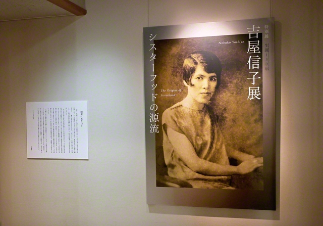 20歳で作家デビューした吉屋信子。少女小説から家庭小説、歴史小説まで、多彩な作品が幅広い層の読者から支持されてきた