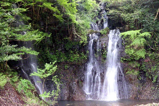 涼を求める人々の心を引きつける「鬼の雁木（がんぎ）の滝」（福岡県築上町）＝福岡・大藏由紀通信員