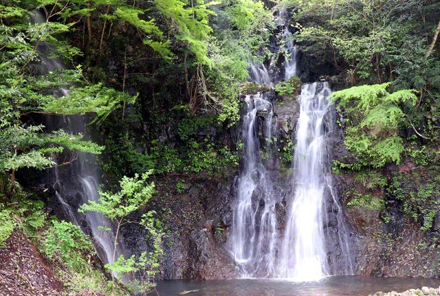 涼を求める人々の心を引きつける「鬼の雁木（がんぎ）の滝」（福岡県築上町）＝福岡・大藏由紀通信員