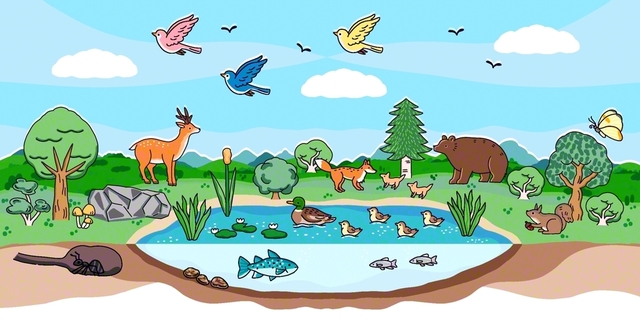自然界では、生物たちが多様な環境に適応し、互いの個性を生かしながらつながり合っている