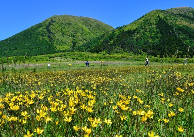 薫風そよぐ西の原から望む三瓶山（島根県大田市）