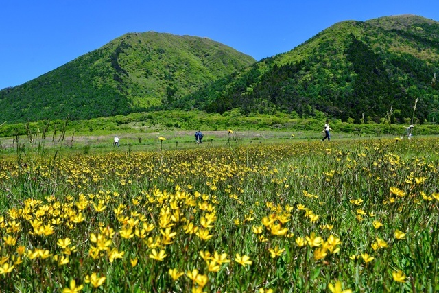 薫風そよぐ西の原から望む三瓶山（島根県大田市）
