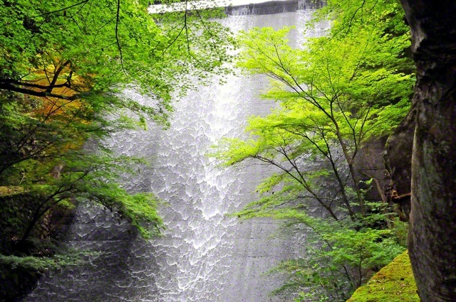 勢いよく水が流れ落ちる馬ケ城浄水場（愛知県瀬戸市）＝愛知・桜井勝治通信員