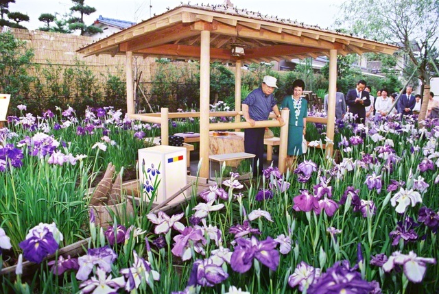 茨城文化会館を訪問した池田先生ご夫妻が、同志が製作した“アヤメ庭園”を散策。「皆さまの“勝利”の姿を象徴するかのよう」と友をたたえた（1990年6月19日）