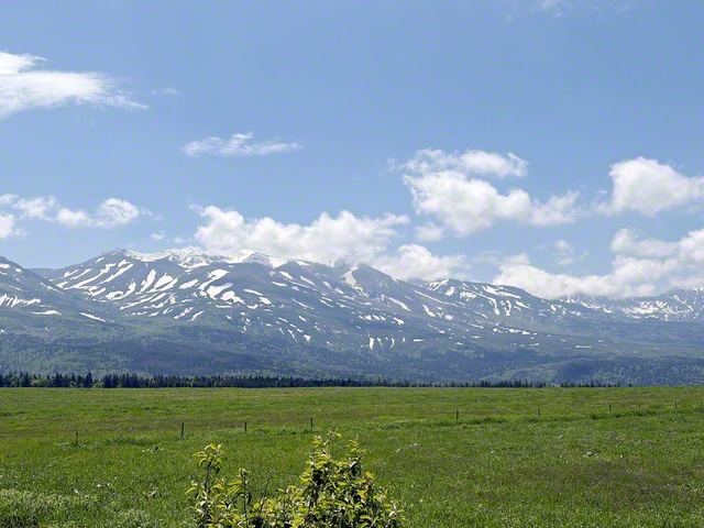 緑豊かな丘の奥にそびえる十勝岳連峰。残雪の山容の中央からは、活火山ならではの白い噴気が立ち上る（北海道・美瑛町）