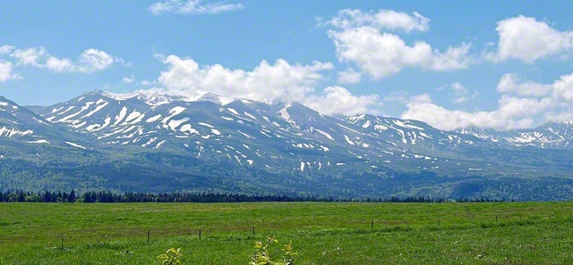 緑豊かな丘の奥にそびえる十勝岳連峰。残雪の山容の中央からは、活火山ならではの白い噴気が立ち上る（北海道・美瑛町）