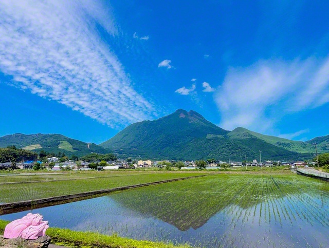 青空に抱かれた由布岳が水田に映る（大分県由布市）＝大分・田中亨一通信員