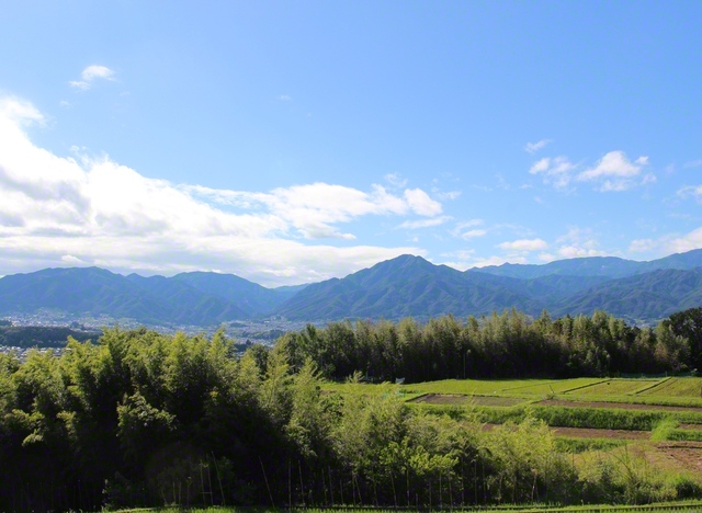 のどかな田園と町を見守る風越山（長野県飯田市）＝長野・滝沢契江通信員