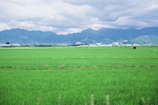 青々とした田園が広がる山形の風景（1987年7月、池田先生撮影）。先生は「美しき自然と人情に恵まれた山形は、『アルカディア（理想郷）』ともいうべき国土である」と記した