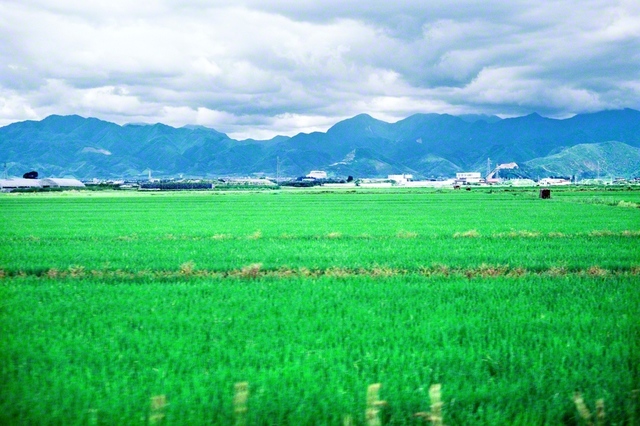 青々とした田園が広がる山形の風景（1987年7月、池田先生撮影）。先生は「美しき自然と人情に恵まれた山形は、『アルカディア（理想郷）』ともいうべき国土である」と記した