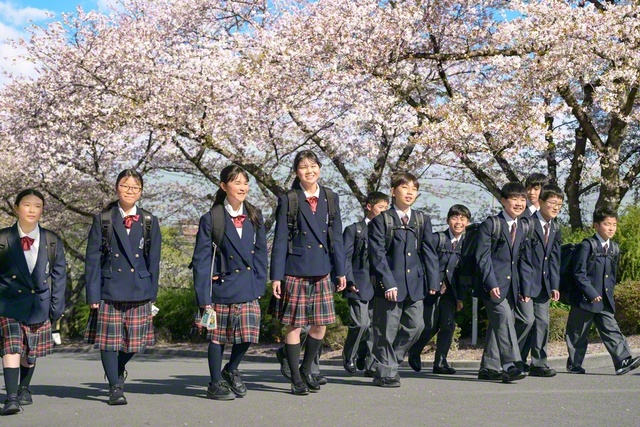 満開の桜が関西中の新入生を迎える