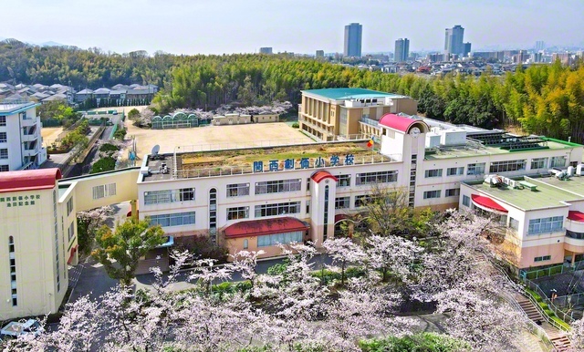 関西創価小学校では、四季折々の花々に囲まれながら、児童が成長の日々を過ごす