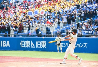 大声援の中、4安打3打点の活躍で勝利に貢献した3番・市橋（神宮球場で）