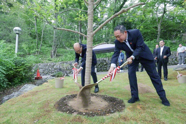 友誼の証しとして、周恩来総理が愛したカイドウの一種であるミカイドウが植樹された