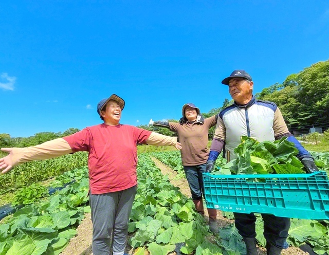 稲垣さん㊥が両親とキャベツの収穫を。「私が帰ってからも、両親はずっと畑で作業している。感謝しかありません」