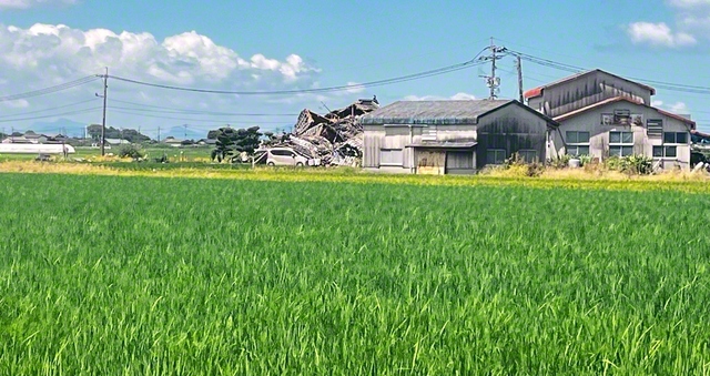 【八代市】青空に入道雲が湧き、田んぼでは青い苗が風に揺れる。その夏景色の向こうに、地震で傷ついた家がたたずんでいた