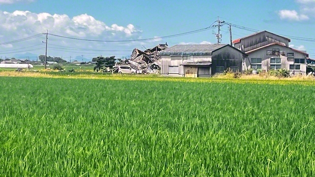 【八代市】青空に入道雲が湧き、田んぼでは青い苗が風に揺れる。その夏景色の向こうに、地震で傷ついた家がたたずんでいた
