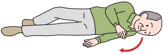 立てた脚を体の内側に倒していくと、体がねじれ、横向きになる。