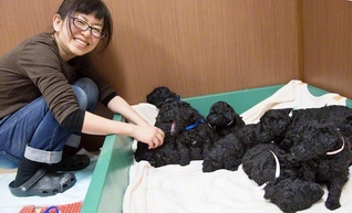 子イヌをあやす永澤さん