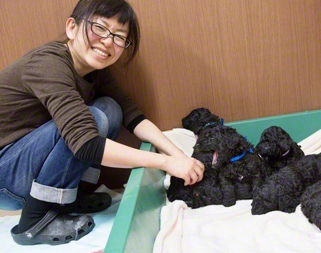 子イヌをあやす永澤さん