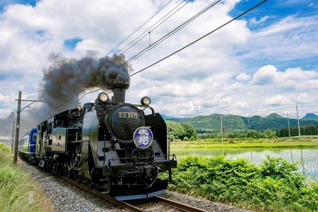 SL大樹