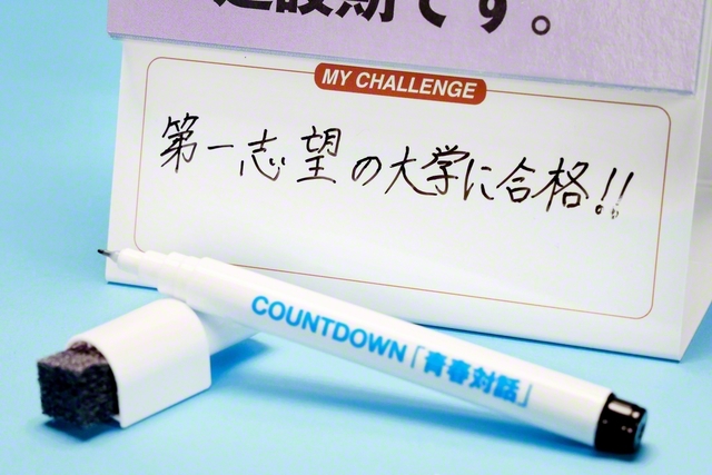 付属のマーカーで目標を書いたり、消したりできる