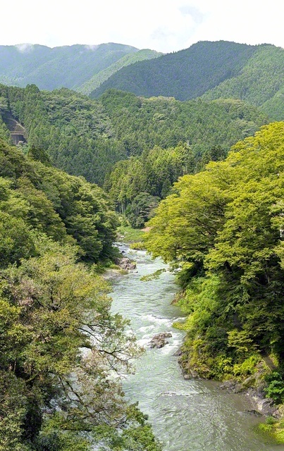 雄大な自然が広がる、秩父多摩甲斐国立公園。多摩川の流れが大地を潤す（東京都青梅市）