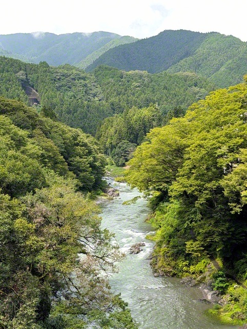 雄大な自然が広がる、秩父多摩甲斐国立公園。多摩川の流れが大地を潤す（東京都青梅市）