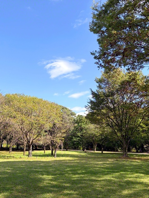 秋風薫る国営昭和記念公園（東京都立川市）。樹木も日ごとに色づきを増す