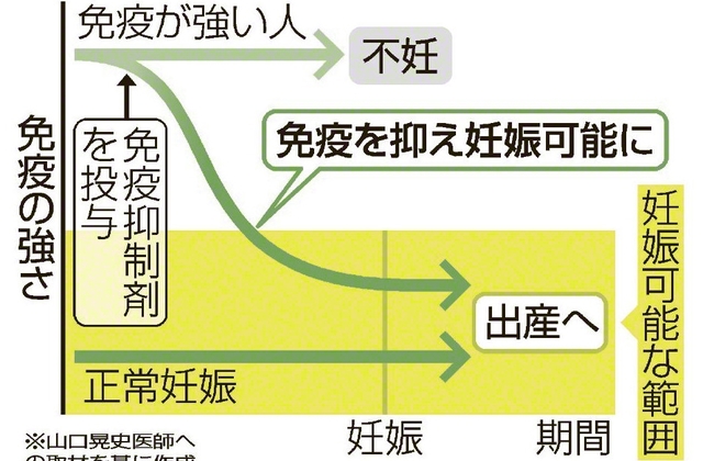 免疫抑制剤による不妊治療のイメージ　※山口晃史医師への取材を基に作成
