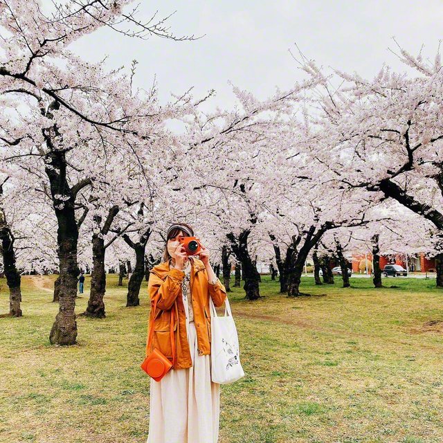 闘病の冬を越えた退院後、陽子さんと桜を見に行った（22年5月、本人提供）