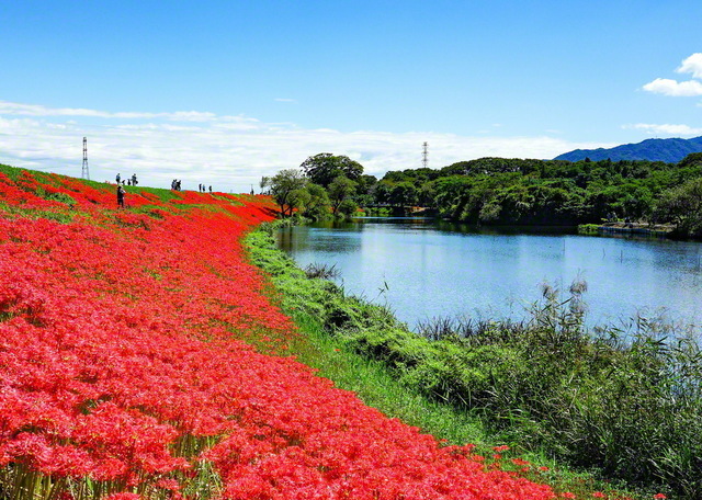 聖教新聞 地方版