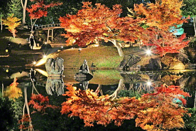 聖教新聞 地方版 聖教新聞 地方版