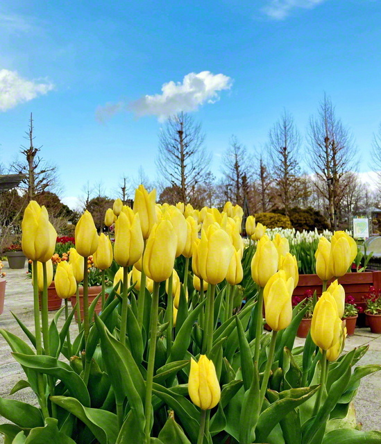 聖教新聞 地方版