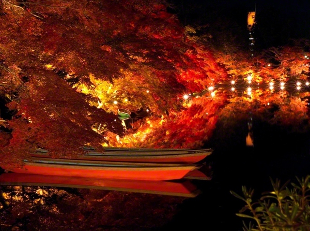 無風の水面に映る、弘前公園の桜の紅葉