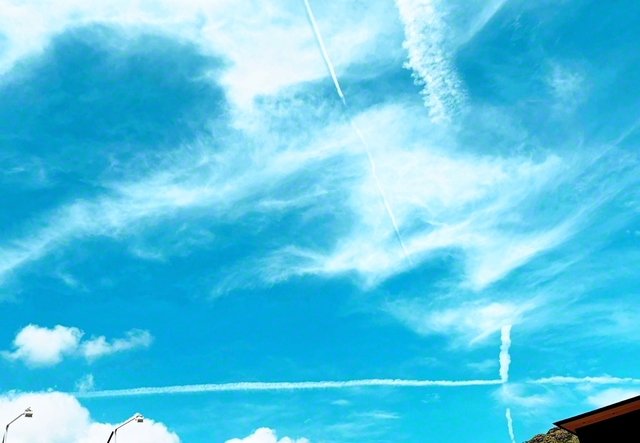 青空に描かれる“一瞬”のアート「飛行機雲」を撮影。“今”という時を逃さず、悔いのない広布拡大を。今日も対話に走り抜こう！（松江市内で）