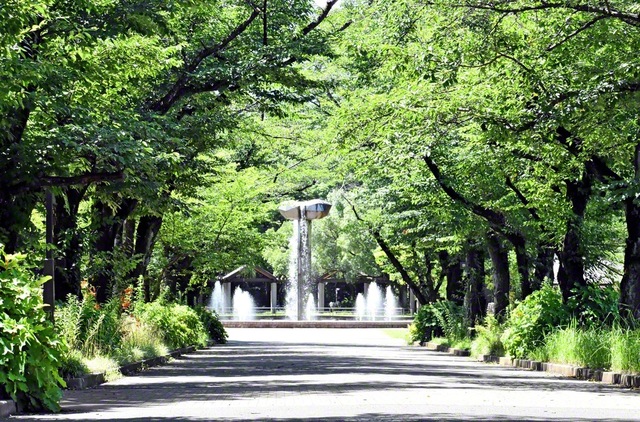 映画やドラマのロケ地として知られる「府中の森公園」。多くの俳優たちが歩いた並木道は、桜の名所としても名高い場所です。あなたも、“映画の主人公”になった気分で歩いてみては（鈴木明子）