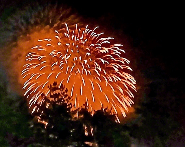夜空に打ち上げられた花火（3日、宮古市内で）