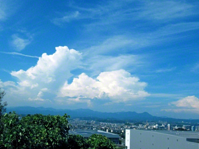 掛川市、中山敏和通信員
