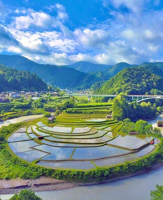 日本の「棚田百選」の一つでもある“あらぎ島”。水田が鏡となって青空を映し出す（6月16日、有田川町、荒木伸一通信員）