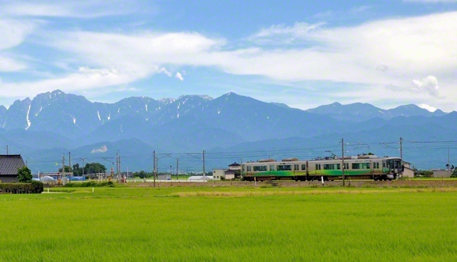夏の立山連峰と水田（富山市内で）