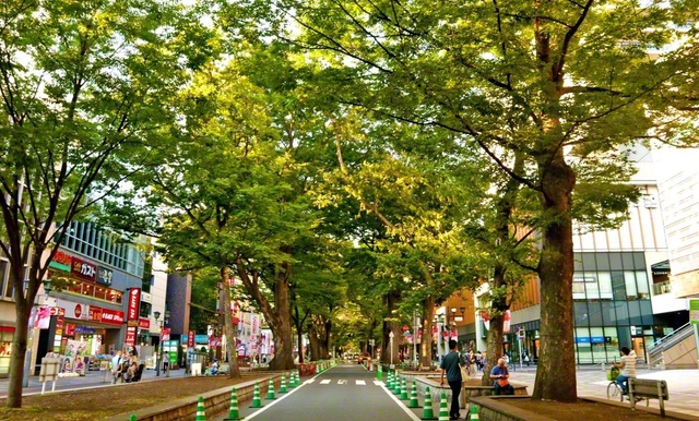京王線の府中駅前から真っすぐ伸びる、けやき並木通り。木漏れ日が注ぐ“緑のトンネル”は、憩いのスポットとして人々に親しまれています。“大東京の中核”府中から、対話の大道を真っすぐに！（宮川とも子）