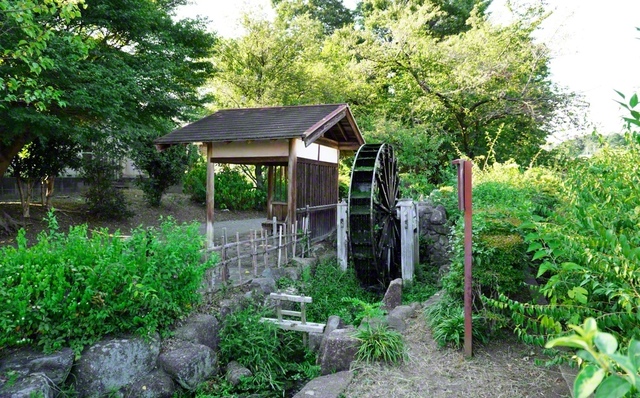 【三鷹市　水車「しんぐるま」】　200年以上前に造られた水車が保存・公開されています。回転する水車を眺めていると、不思議と心が落ち着きます。小説『新・人間革命』に、「『忙中閑あり』である。動中にも静はある」と。学会創立100周年へ思索を重ね、清新な心で出発します！（水本真太郎）