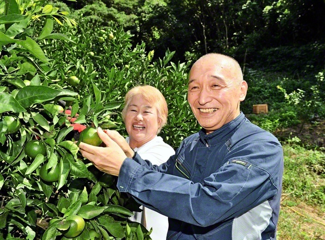 丹精込めて果物を栽培する福田さん夫妻。久さん㊨は昨年、農作業中に心筋梗塞を発症。幸い、ドクターヘリで搬送され一命を取り留めた。かつて和惠さんも乳がんを乗り越えた経験があり、二人は信心の功徳を実感する