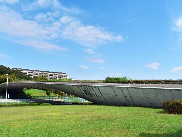 まるでクジラのような曲線――稲城中央公園に架かる「くじら橋」の上からは、都心の風景が望めます。本年、稲城文化会館は開館35周年。同志は異体同心の団結で、さらなる前進を誓っています（尾澤智美）