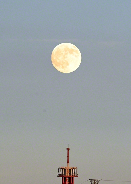 中秋のたそがれ時。東の空に煌々と月が昇った（大分市、6日撮影）。創立の月・11月へ！　夜空を見上げながら、友と広布のロマンを語り合い、さらなる前進の日々を