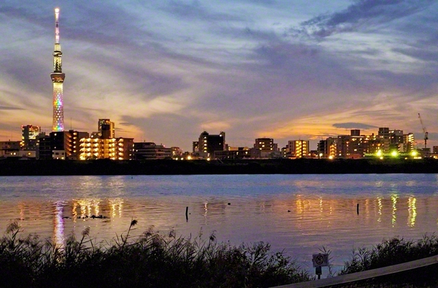葛飾区内の荒川河川敷へ。夕闇迫る空を彩る東京スカイツリー。町にはだんだんと明かりがともり、暮らす人々の息遣いが聞こえてきます。模範の地域の建設は、わが足元から！　いつも、そう心に決めています（岡村美代子）