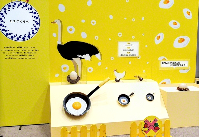 ダチョウ、ニワトリ、ウズラの卵の大きさを比べてみよう